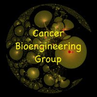Cancer Bioengineering Group(@CancerBioengRG) 's Twitter Profile Photo