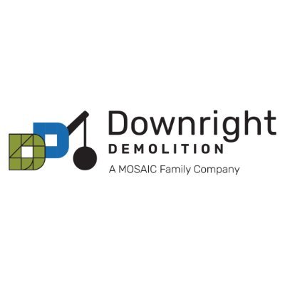 DownrightDemo Profile Picture