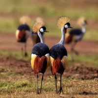 Fourseas Tours and Travel (@fourseast) Twitter profile photo