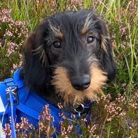 Karen#IStandWithIga (@karen23382874) 's Twitter Profile Photo