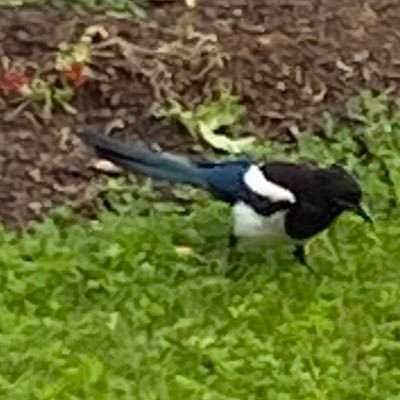 Stephan07706337's profile picture. 