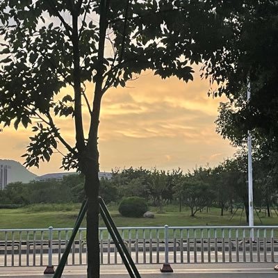 Zhan19527011355's profile picture. 