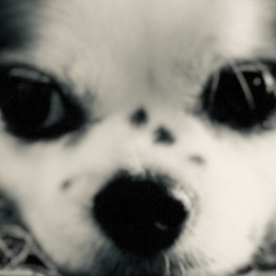 DBTEST94661771's profile picture. 