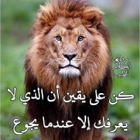 سامي (@aboamar711) 's Twitter Profile