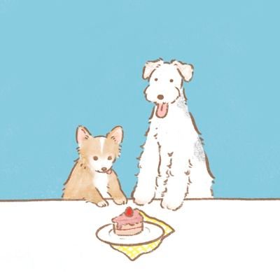 wanwan7321's profile picture. シェットランドシープドッグと暮らすという夢を絶対に諦めない人