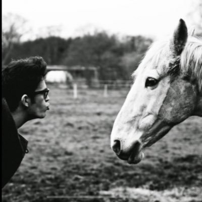 Mattys_Horse Profile Picture