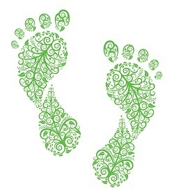 simplefrog's profile picture. Tree hugger, minimalist, girl gamer, sci-fi nerd and tiny house admirer!