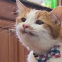Big Boy LLoyd (@big_boy_lloyd) 's Twitter Profile