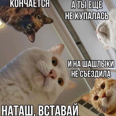 #взаимная #вз