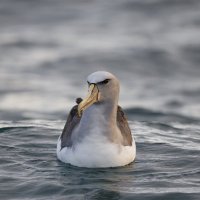 Mario (@mariomjg999) 's Twitter Profile