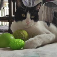 byoldas (@berinyoldass) Twitter profile photo