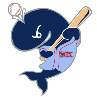 Bay Sox Baseball Profile