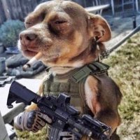 йопаний пес війни ||Bulldog’s Kahu(@jane_c_doe) 's Twitter Profile Photo