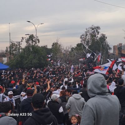 feliarabad's profile picture. Albo de corazón 🤟