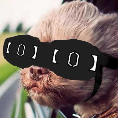 CO06850399's profile picture. 【〔〕】【〔〕】