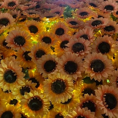 MissBanksArt's profile picture. BA Hons Contemporary Art🎨 @uws, PGDE📝 @StrathEDU, Art & Design Teacher📚👩🏼‍🎨 @NLC