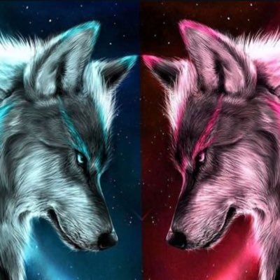 Önce; bol zaman,para ve psikolojik kayıplar, sonra; sayisız döküman,uzun eğitim videoları. Payback zamanı Btc efendi! @sweepvc @capitalvendetta
