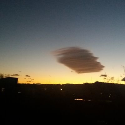 loricousin's profile picture. 