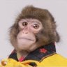 osmosis5878's profile picture.