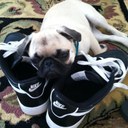 OGdankMcNuggetz - @Grant_Bean - Twitter