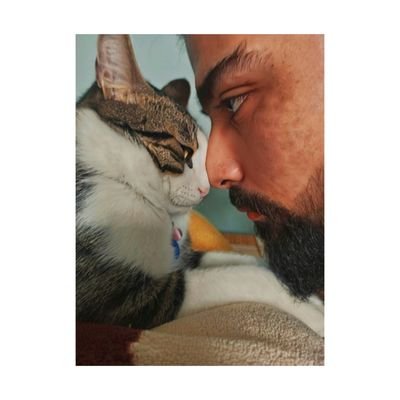 husogencx's profile picture. 