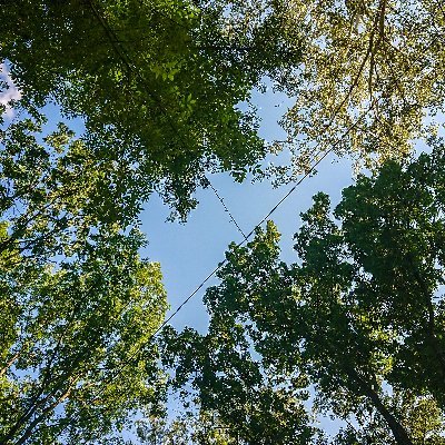 MiloMilo06's profile picture. 