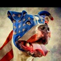 MAGA - American Pitbull 🇺🇸(@MelissaRNMBA) 's Twitter Profileg