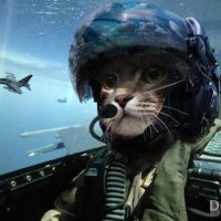 Ferdi M. (@vx_maverickcat) 's Twitter Profile