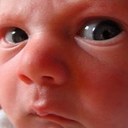 Cole Schmidt - @inthakitchen - Twitter