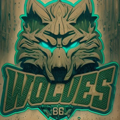 Where the Wolves Eat 🐺💸  Multi-Sport  specialist. Free Discord Down Below!