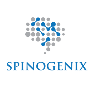 Spinogenix is developing a new class of therapeutics to restore memory and motor functions lost in neurodegenerative and psychiatric diseases.