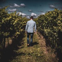 thegrapewizard (@thegrapewizard) 's Twitter Profile