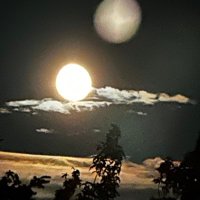 Jacob Weiss (@demandjustice25) 's Twitter Profile