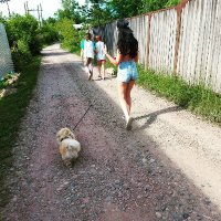 Juanita (@walkerjuanita78) 's Twitter Profile
