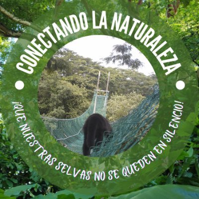 Conservación de la Biodiversidad del Usumacinta A.C, Ciencia en Acción para apoyar a la conservación comunitaria en el sureste de México.