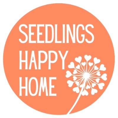 Happy_Seedlings's profile picture. 🌱Erin MacKinnon, ECCE 🌱Westboro home daycare 🌱 Encouraging curiosity, creativity + a ❤️ of learning through play. 🌱Night and weekend care available.