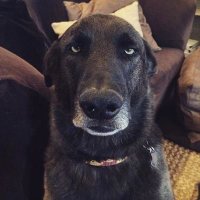 Bob (@bob02975739) 's Twitter Profile Photo Bob (@bob02975739) 's Twitter Profile Photo