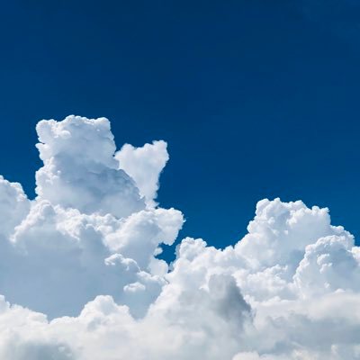 tack_0705's profile picture. 仕事は、映像関係の制作とトレード、好きなもの：第二次大戦の戦闘機とセンチュリーシリーズ、それからボンジョビ、プラモも好きだけど最近は作ってない。料理もちょっとやる。ここ数年は大航海時代（ゲームでは無い）に嵌ってる。トレードって書いているんで最近投資情報系のフォローが煩い。