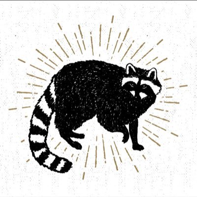 🇮🇹 🇫🇷 Indie Rock Project 🦝 we play cool songs and sometime covers (AM, The Strokes,...)