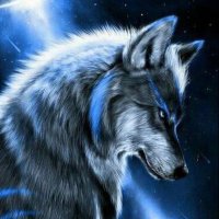 Astr0_gnawt (@astr0_gnawt) 's Twitter Profile