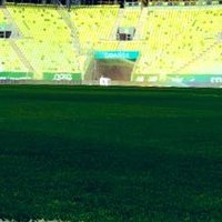 Równo z Trawą (@rownoztrawa) 's Twitter Profile