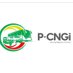 PCNGI (@PCNGInitiative) Twitter profile photo