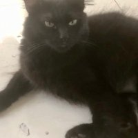 lorena (@anaknipajaglas) 's Twitter Profile