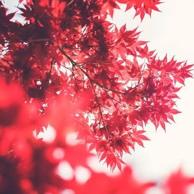 masagasaga's profile picture. Manusia biasa yang pengen selalu bahagia.