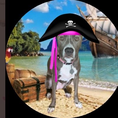 Miss Foxy Roxy Roo SassyPants
Rescued shelter pup❤️❤️❤️
Lover of any stick ❤️🐶
Corporal #ZSHQ & @theruffriderz 
Instagram = RoxyRoo426