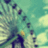mogirag's profile image