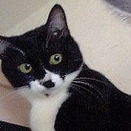 murf_______'s profile picture. ชีวิตฮ่างๆ มันพังเพ มันล้ม มันเซ พะลาดหมื่น