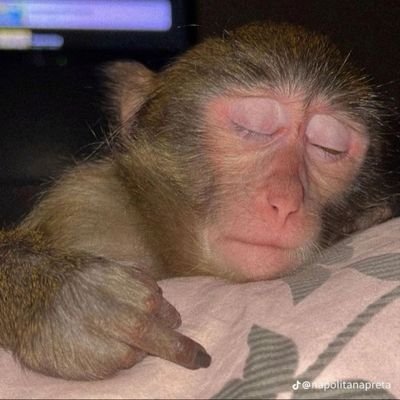 luz_yackelin's profile picture. 