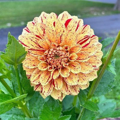 dontudoubtme's profile picture. sharing in the groove, finding my frequency; no time to hate.