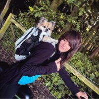 JODIPHOTOGRAPHY (@jodiphotography) 's Twitter Profile